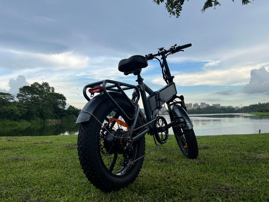 Savage Rider - Health - e bikes