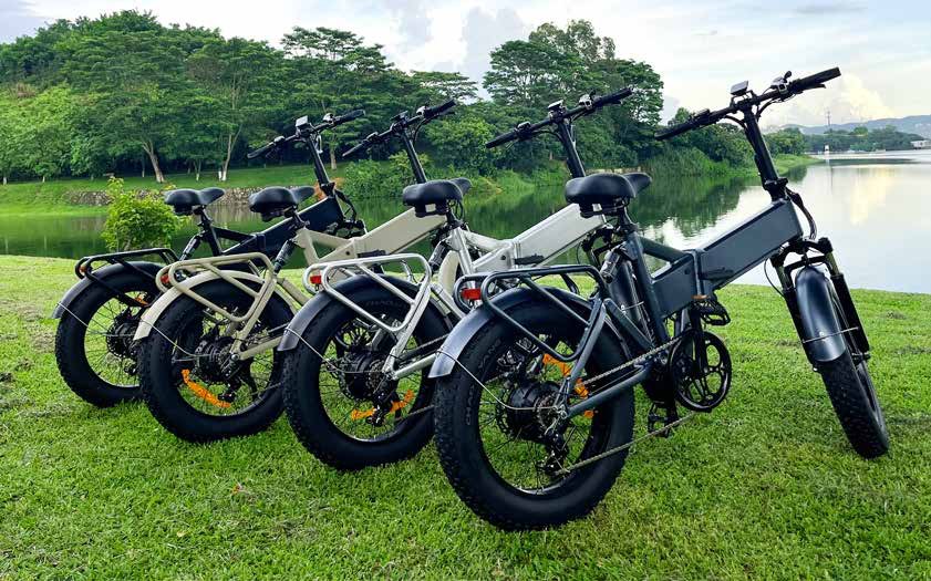 Savage Rider - Health - e bikes